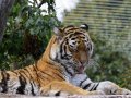 ZOO-Viden 24 srpen 2014 089.JPG